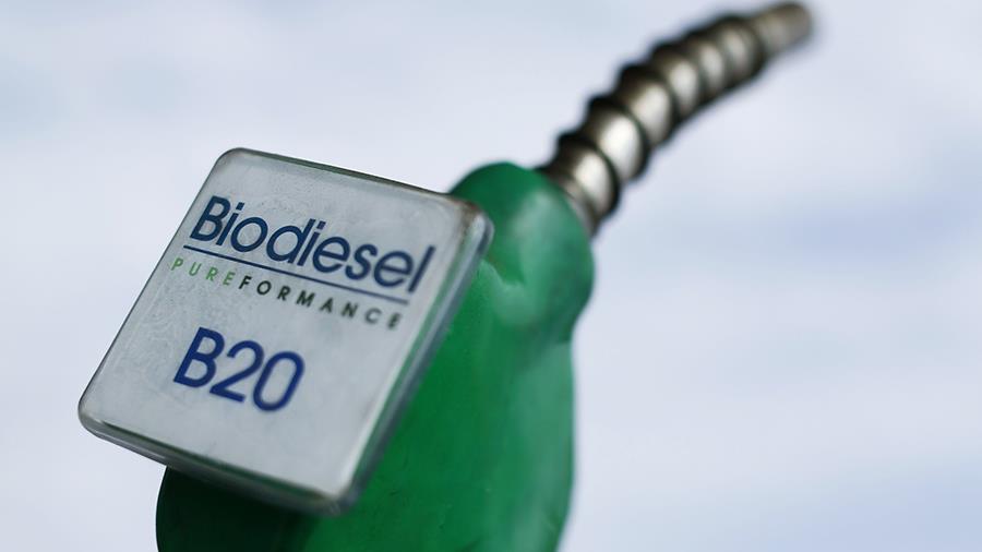 biodiesel