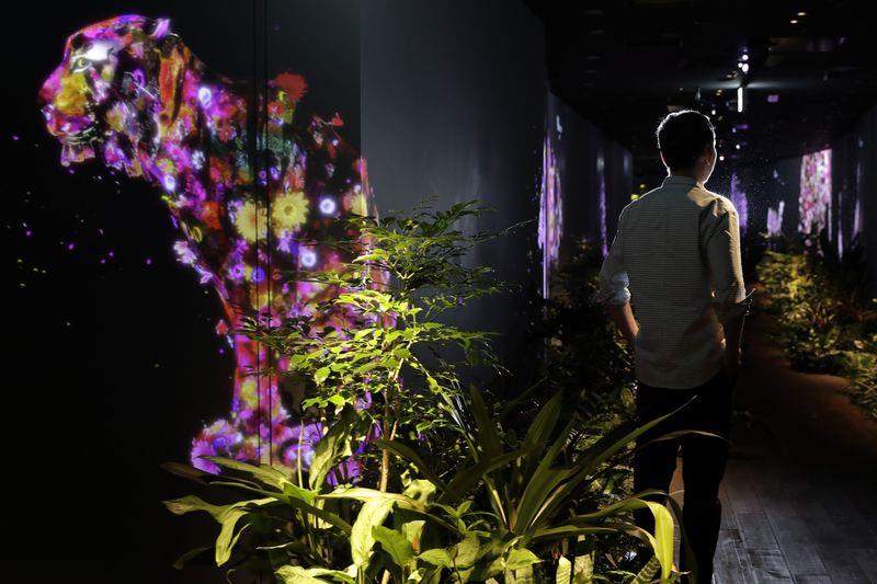 Κέισι Καμεγιάνα 