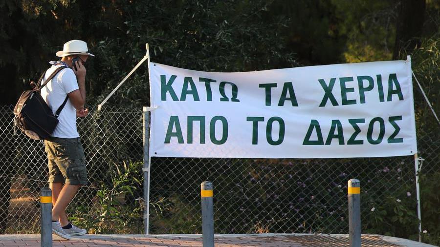 dasos aglantzia