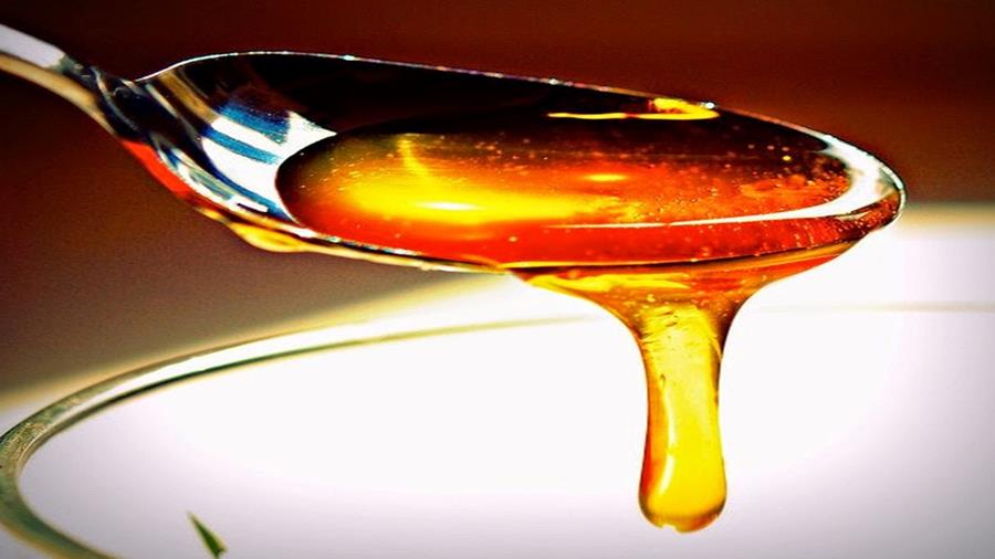 Πευκοθυμαρόμελο Κρήτης