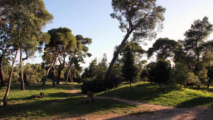 park
