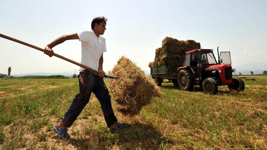 agrotisNEWS.jpg