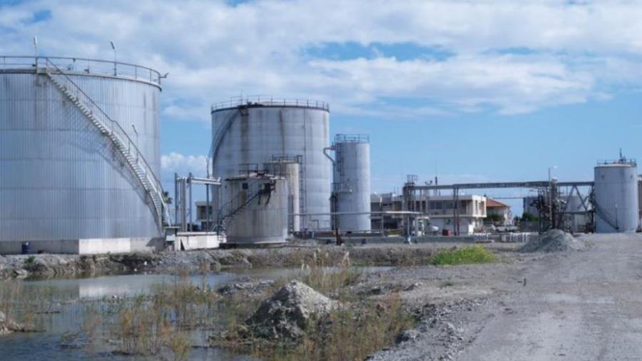 petrelaioeidilarnaka