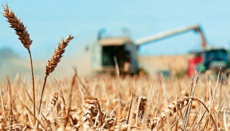 Επιτροπή Σιτηρών