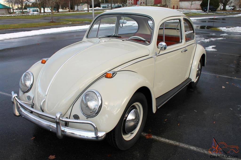 beetle