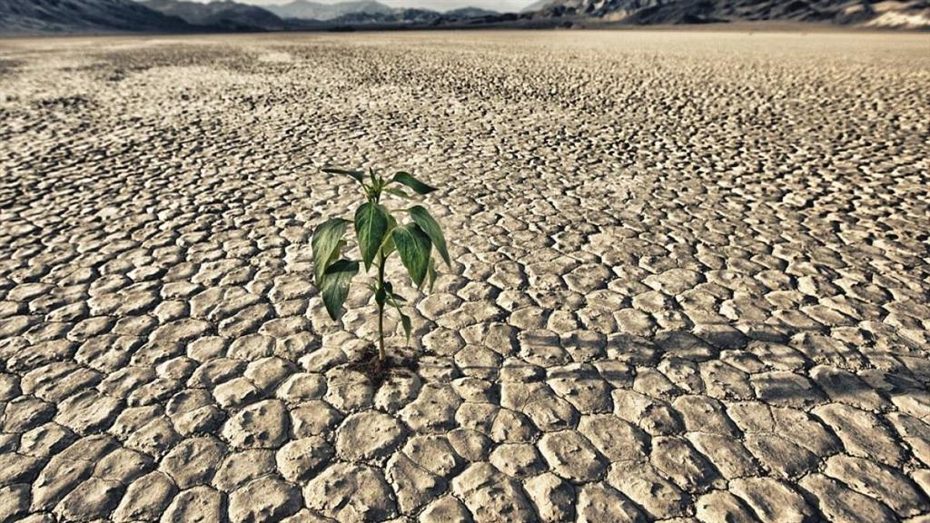 Climate Change 
