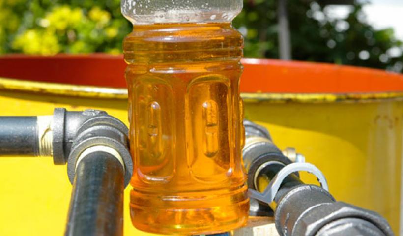 τηγανελαια