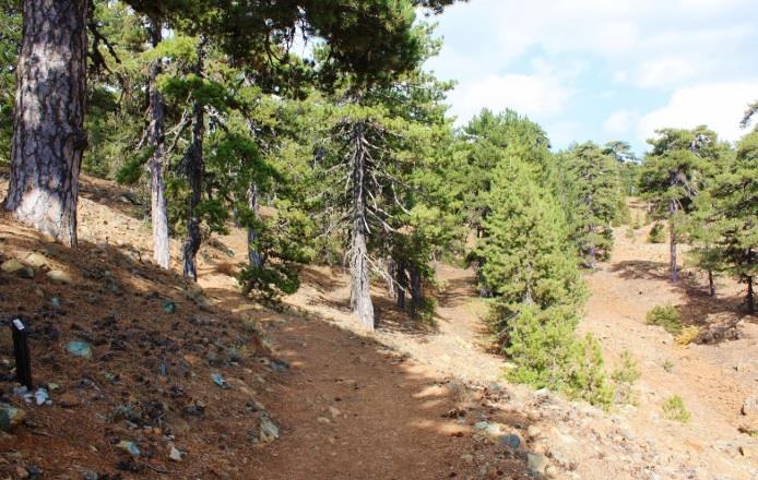 μονοπάτι φύσης