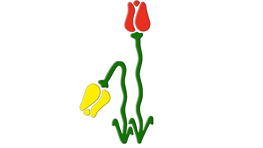 thalassaimianews2