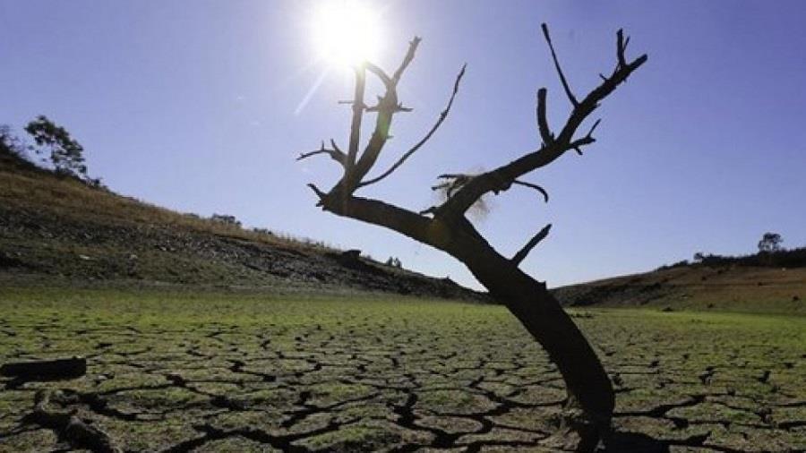Κλιματική αλλαγή 