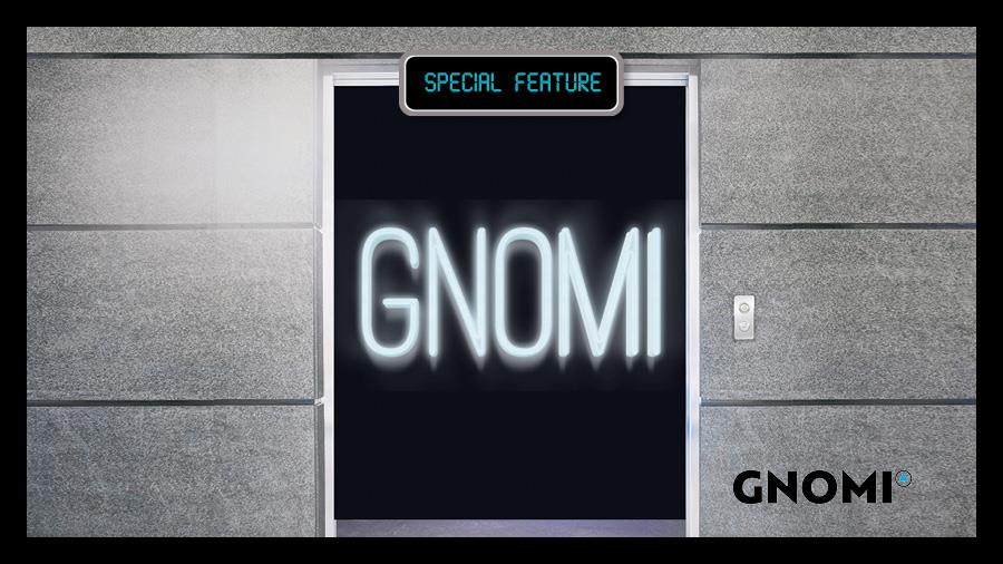 Gnomi new