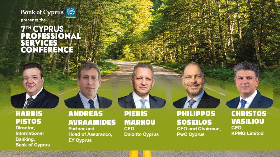 Professional Services INB Banner - Panel Big4