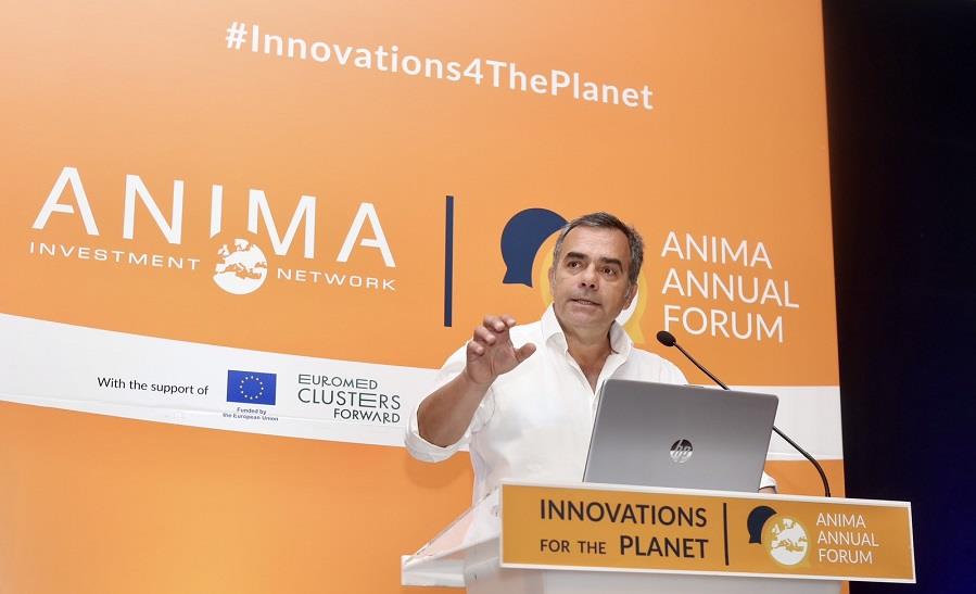 ΓΙΩΡΚΑΤΖΗΣ ΑΝΙΜΑ