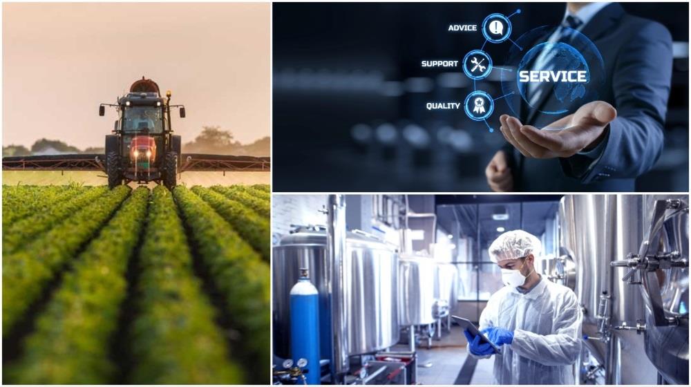 ΤΟΜΕΙΣ ΤΗΣ ΟΙΚΟΝΟΜΙΑΣ