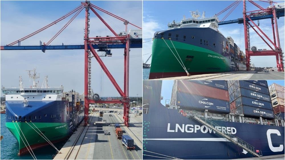 MixCollage-13-Mar-2025-10-48-AM-4070