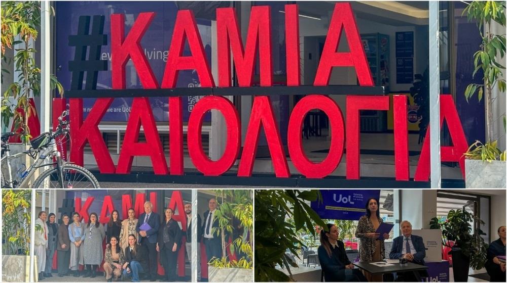 MixCollage-10-Mar-2025-01-01-PM-1936