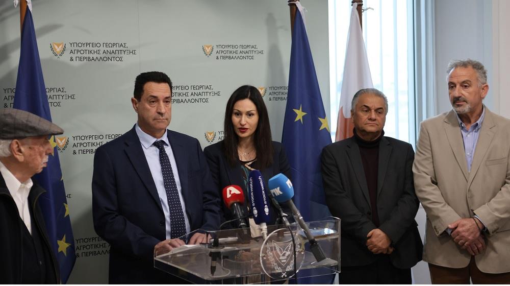 ΜΑΡΙΑ ΠΑΝΑΓΙΩΤΟΥ-ΔΑΣΙΚΟ ΚΟΛΛΕΓΙΟ