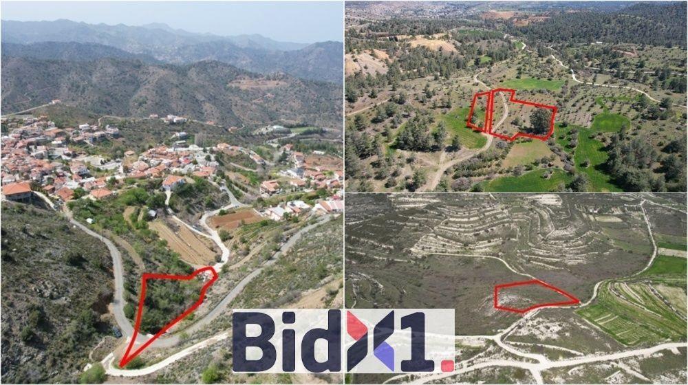 BIDX1