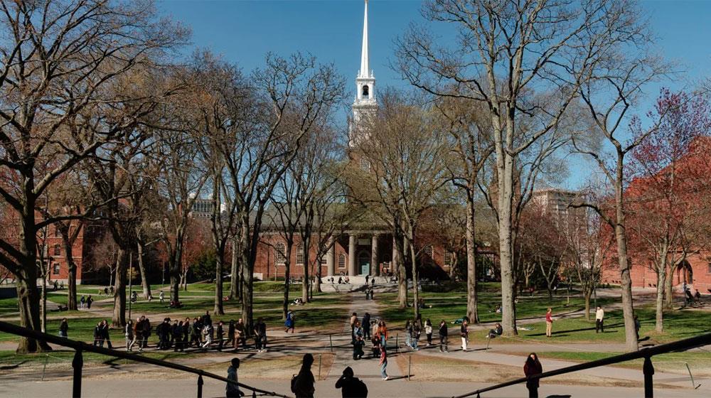 harvard
