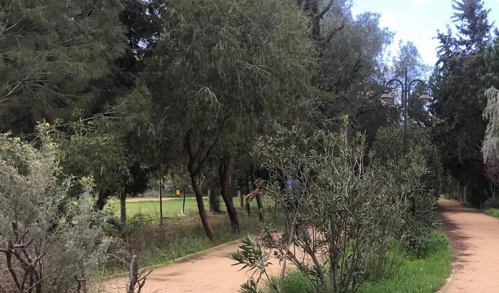 ΠΑΡΚΟ