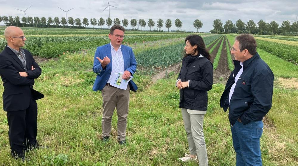 ΜΑΡΙΑ ΠΑΝΑΓΙΩΤΟΥ ΟΛΛΑΝΔΙΑ