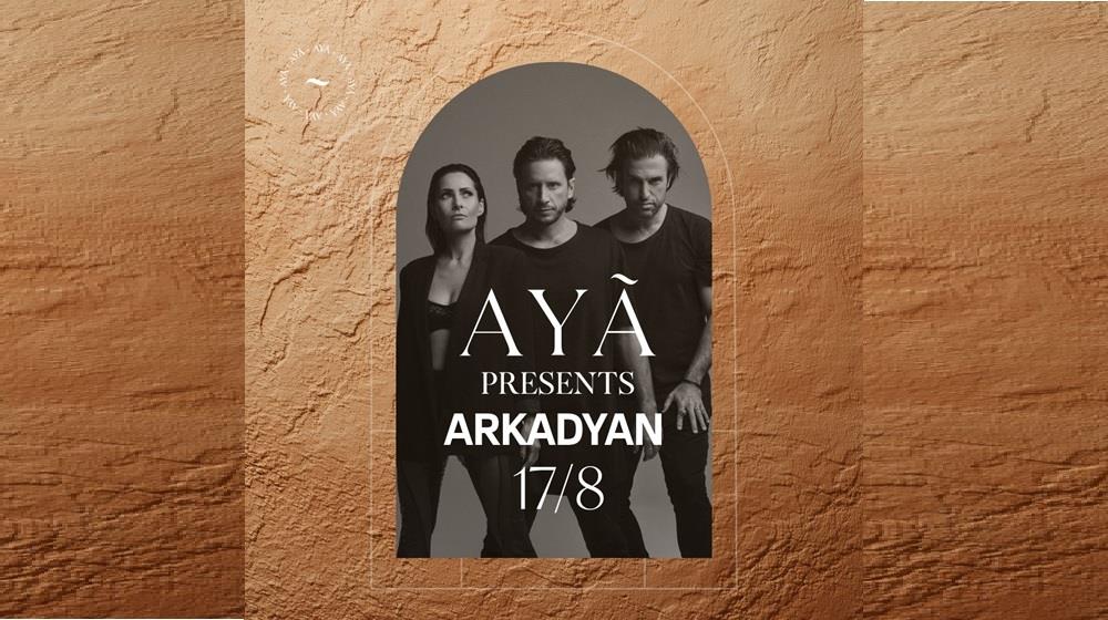 5241333097803501 ARKADYAN