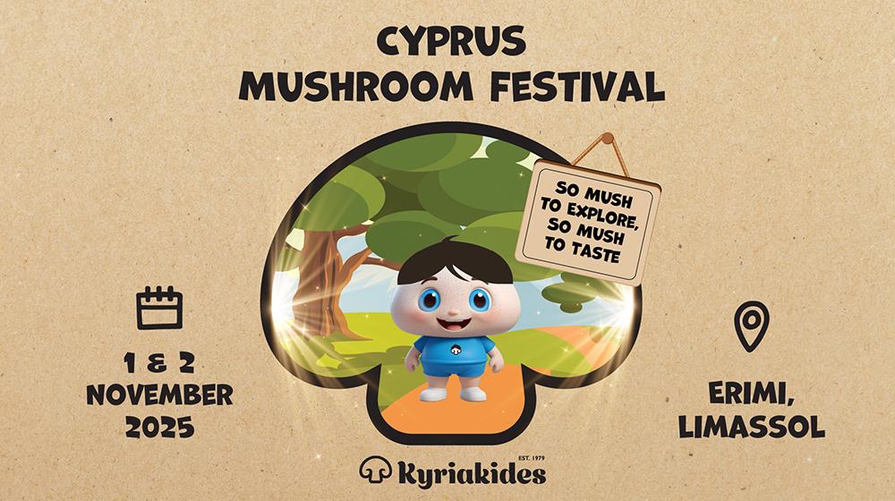 5260477114887879 km festival