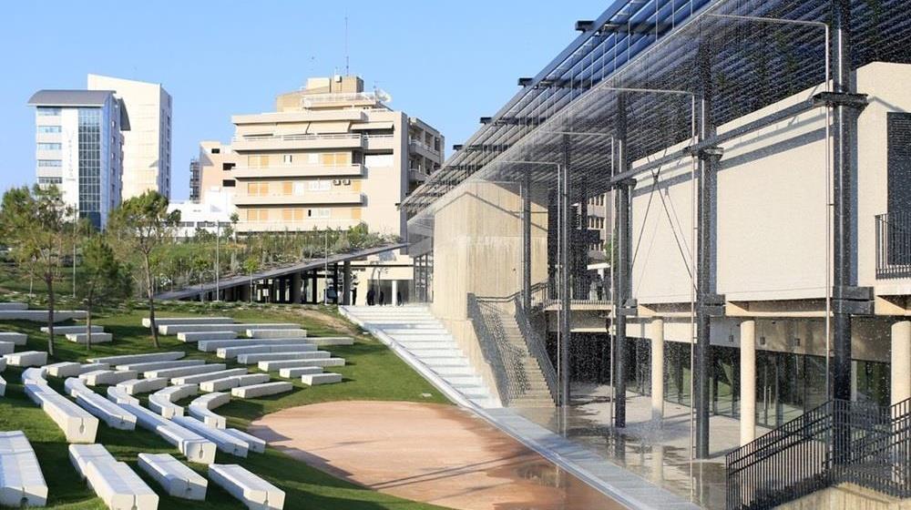 5303645592906142 collage (90)