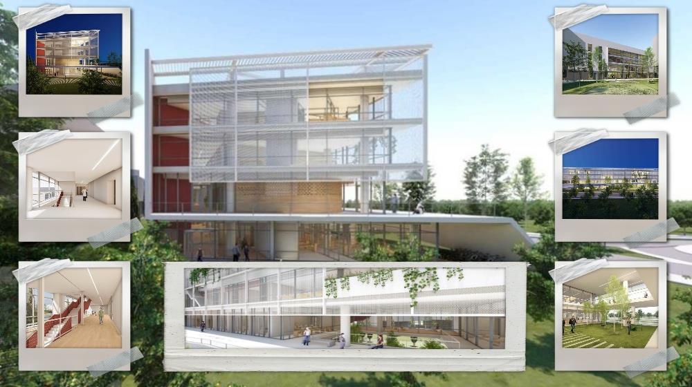 5304665176327203 collage - 2025-10-23T154830.027