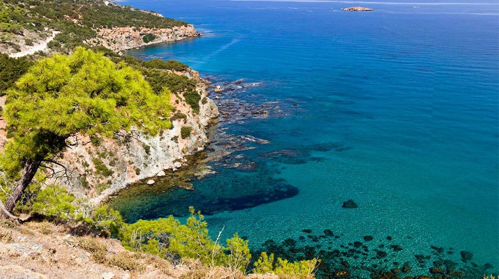 5322033858180666 akamas