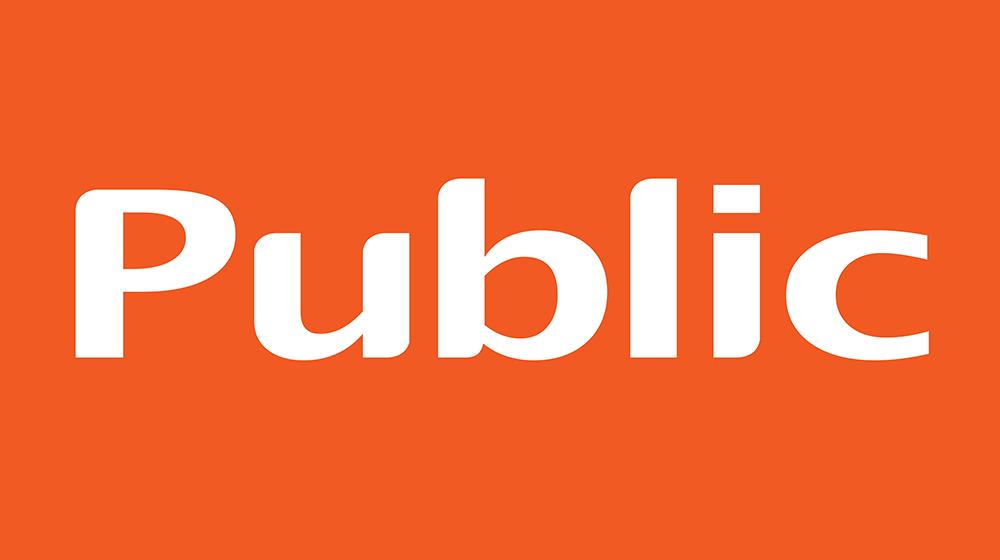 public 100x560