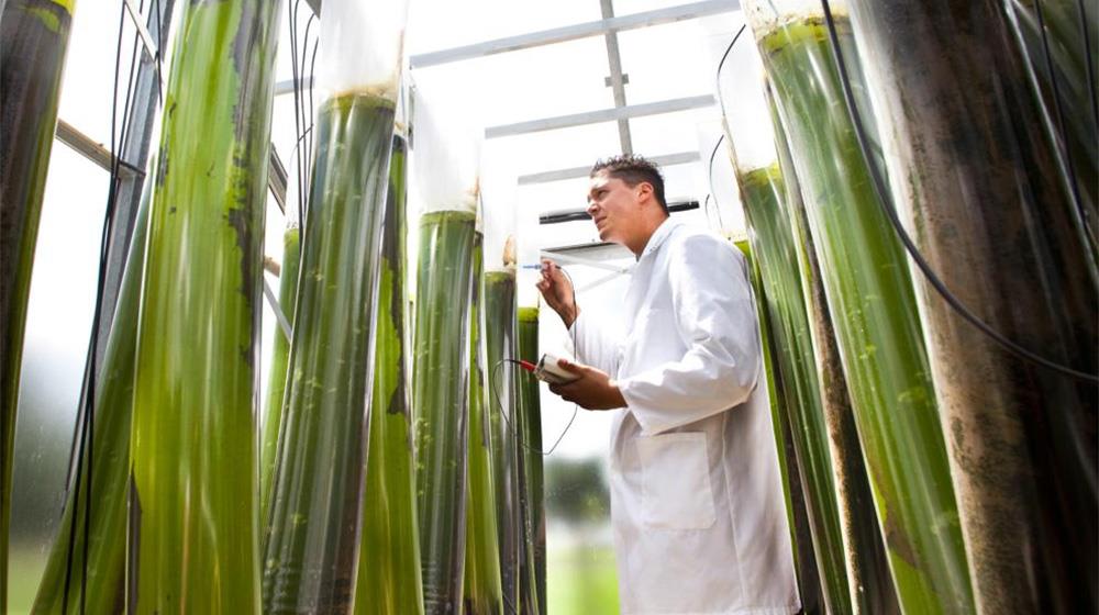 5361753590350099 viooikonomia