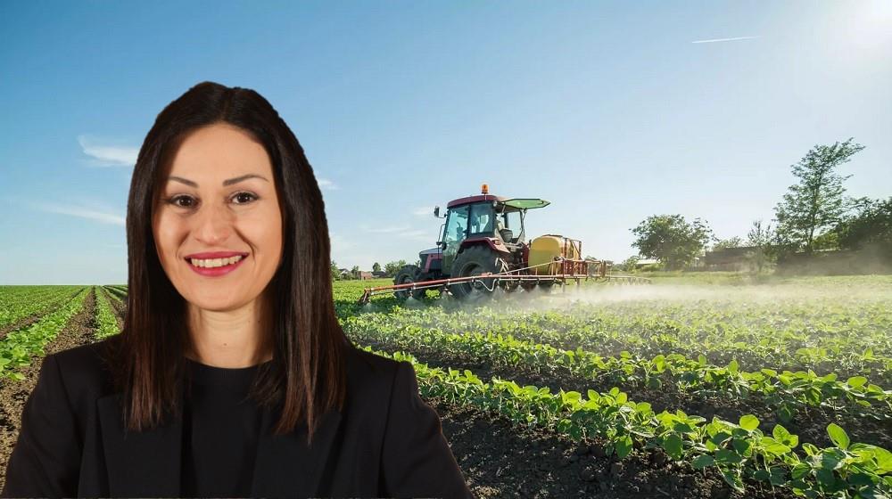 5371127044169171 ΓΕΩΡΓΙΑ-ΜΑΡΙΑ ΠΑΝΑΓΙΩΤΟΥ