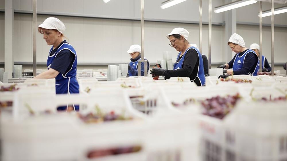 5371967596723148 ΕΛΛΗΝΙΚΗ ΒΙΟΜΗΧΑΝΙΑ