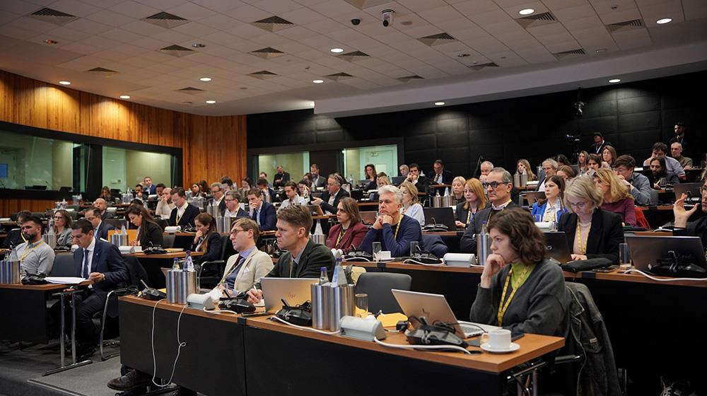 5376470323940056 proedria