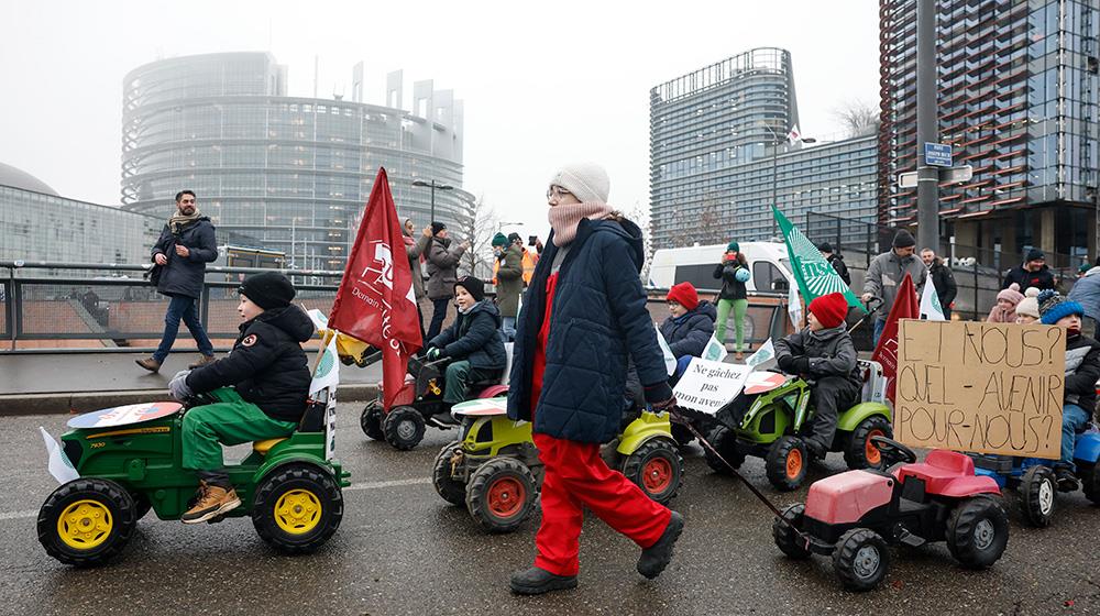 5382381122025966 mercosur