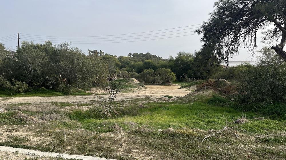 5386706542490803 ΑΛΥΚΗ ΛΑΡΝΑΚΑΣ