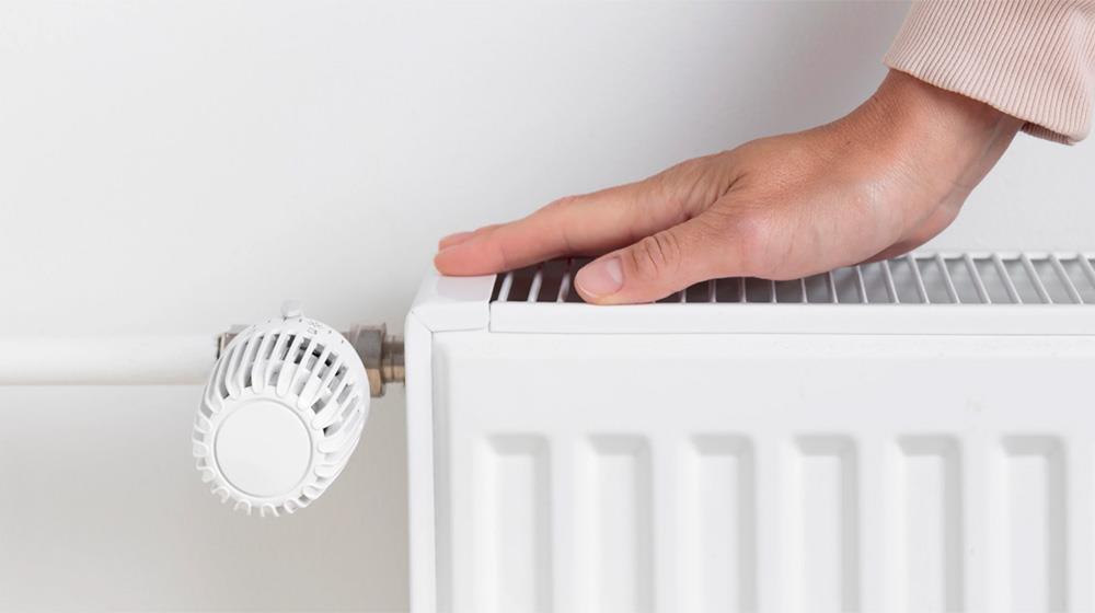 5392876870211216 thermansi