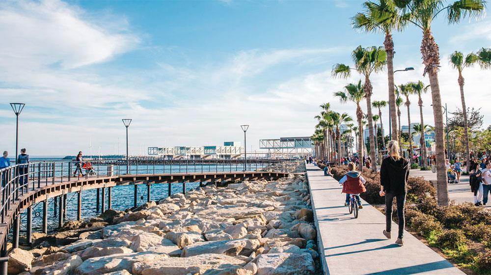 5398878119308498 cache 1300x500 Analog medium 439330 124648 25 10 10 083544