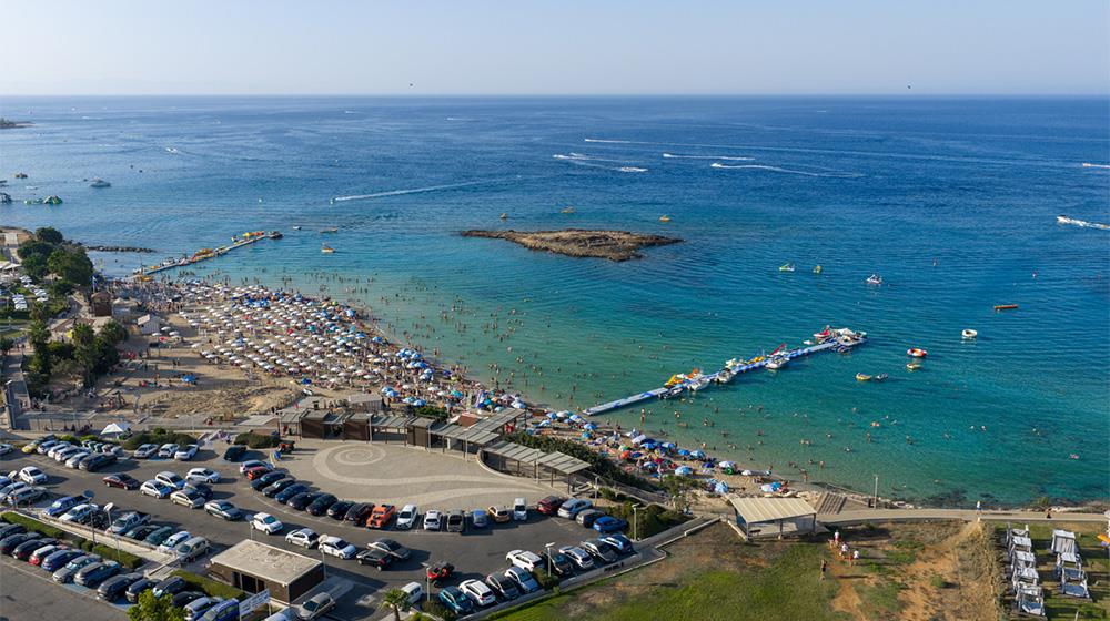 5406568523852464 fig tree bay