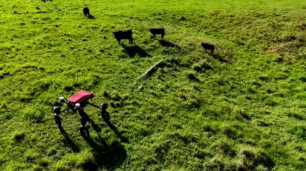 5406673724342229 κτηνοτροφία