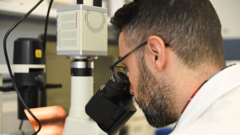 5425548074812989 Photo 2