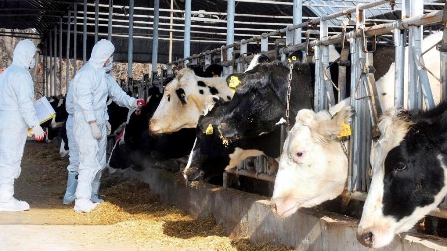 5430859041576787 cache 1300x500 Analog medium 1394928 214572 26 03 08 165938