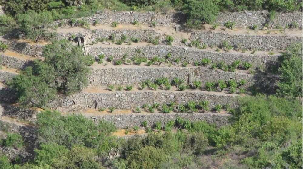 5471150164216444 stone wall