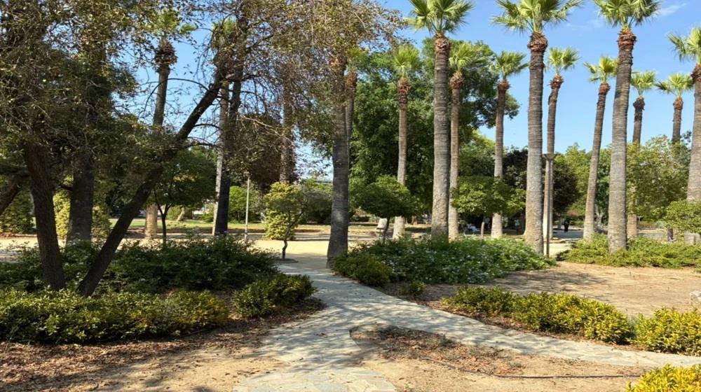 5562735405911943 Nicosia Municipal Gardens