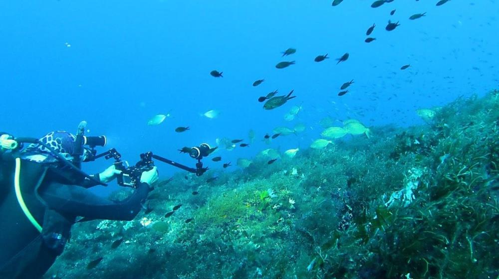 5564463874029928 scuba diving