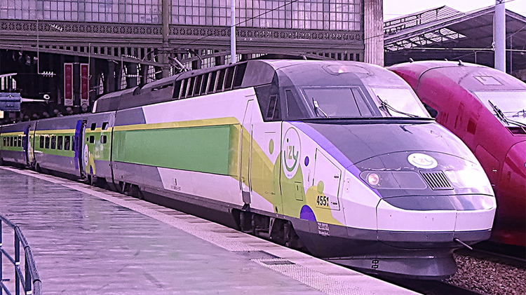 853a0531-b576-440f-abd9-da275b36d746.jpg