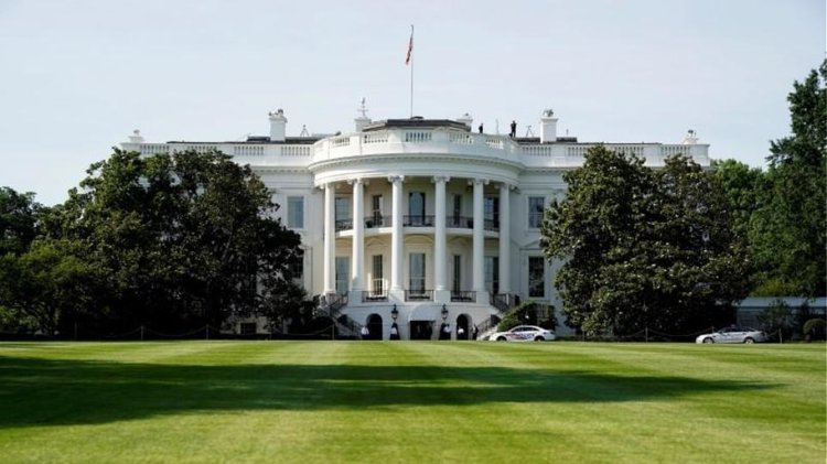 usa_white
