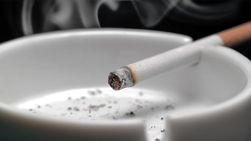 cigar