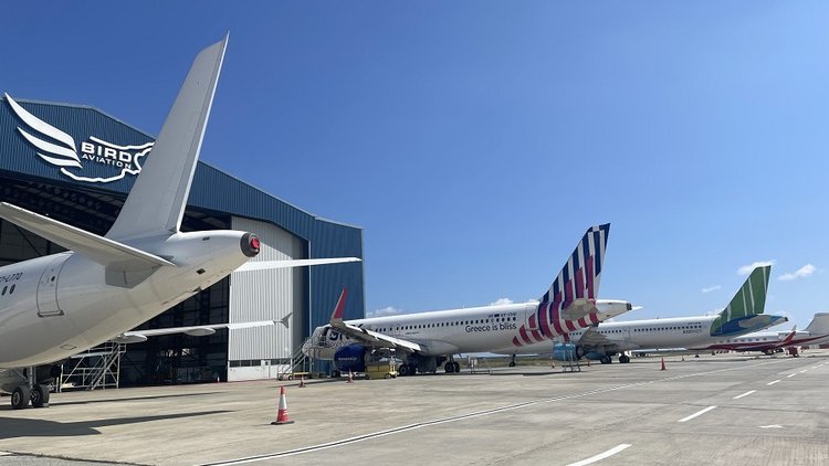 BIRD AVIATION
